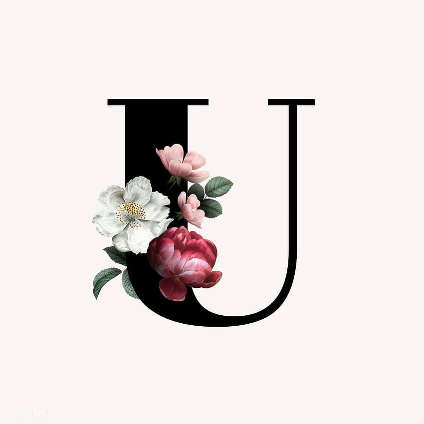 Classic and elegant floral alphabet font letter U, u letter HD phone wallpaper
