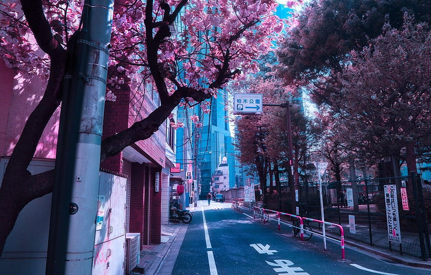 Japonya, Japonya, baharda çiçek açıyor, şehir caddesi, bölüm город, Japon caddesi HD duvar kağıdı
