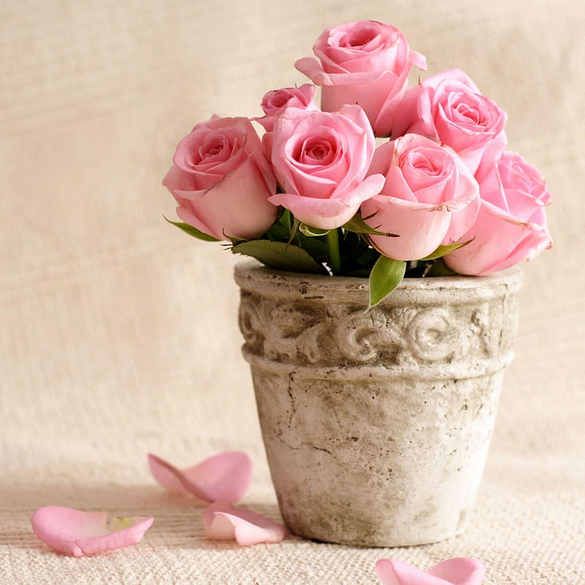 Nice Pretty Flower Pot, pots HD phone wallpaper