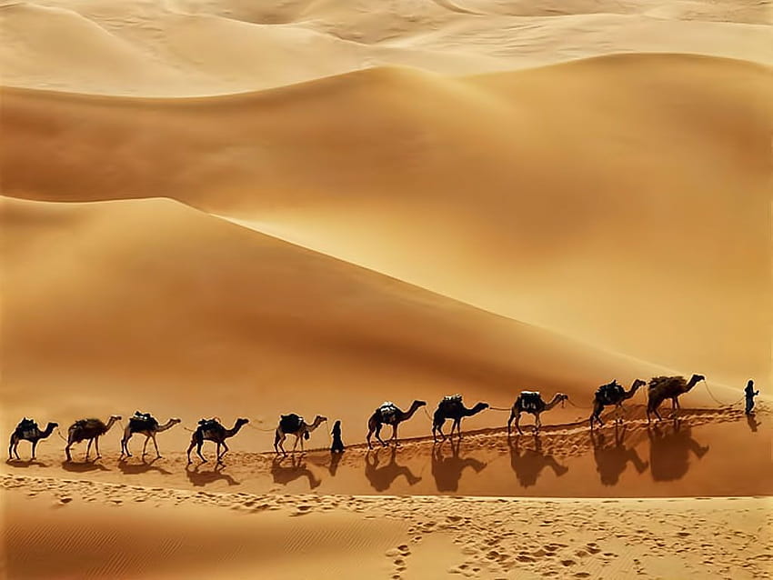 Arabian Desert HD wallpaper