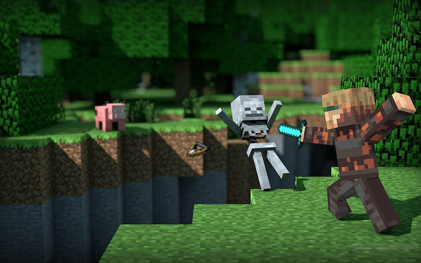 Minecraft Skelett auf Hund, Minecraft-Monster HD-Hintergrundbild