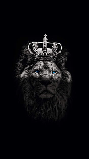Lion with crown HD wallpapers | Pxfuel
