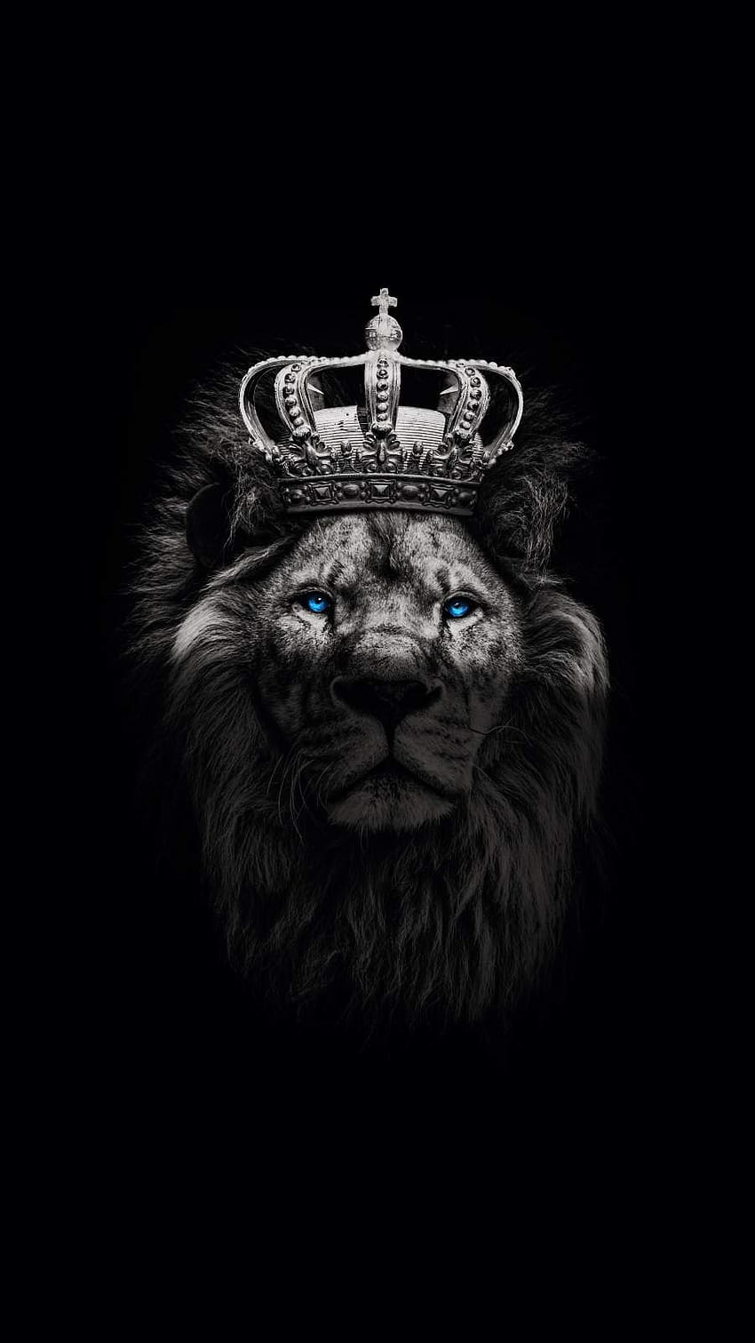 왕관을 쓴 라이온 킹, 사자 왕관 HD 전화 배경 화면