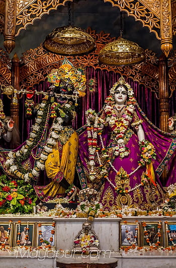 Sri Radha-Madhava flower outfits darshan! | Mayapur.com