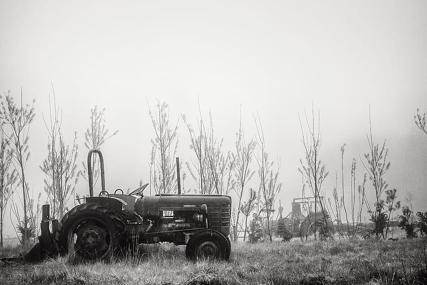 : landscape, car, apocalyptic, abandoned, sky, field, tree, fog, plant, tractor, ageing, prairie, rural area, black and white, monochrome graphy, grass family, motor vehicle, disrepair, weardale, c2c, derwentside, waskerley, stock HD wallpaper