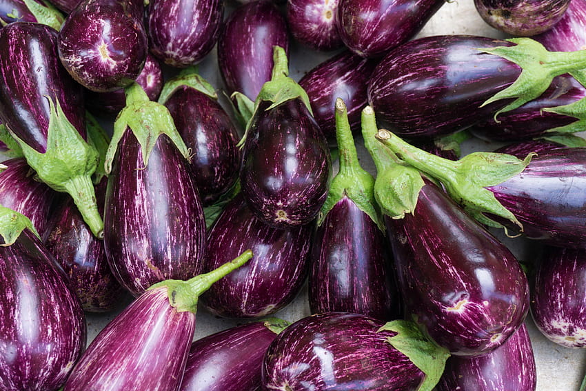 stock of aubergine, background, color, aubergines HD wallpaper