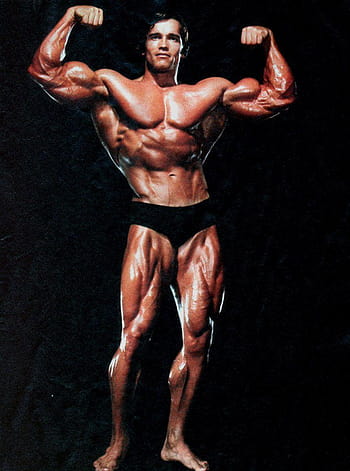 Arnold Schwarzenegger Back Pose Wallpaper Bodybuilding  फट शयर