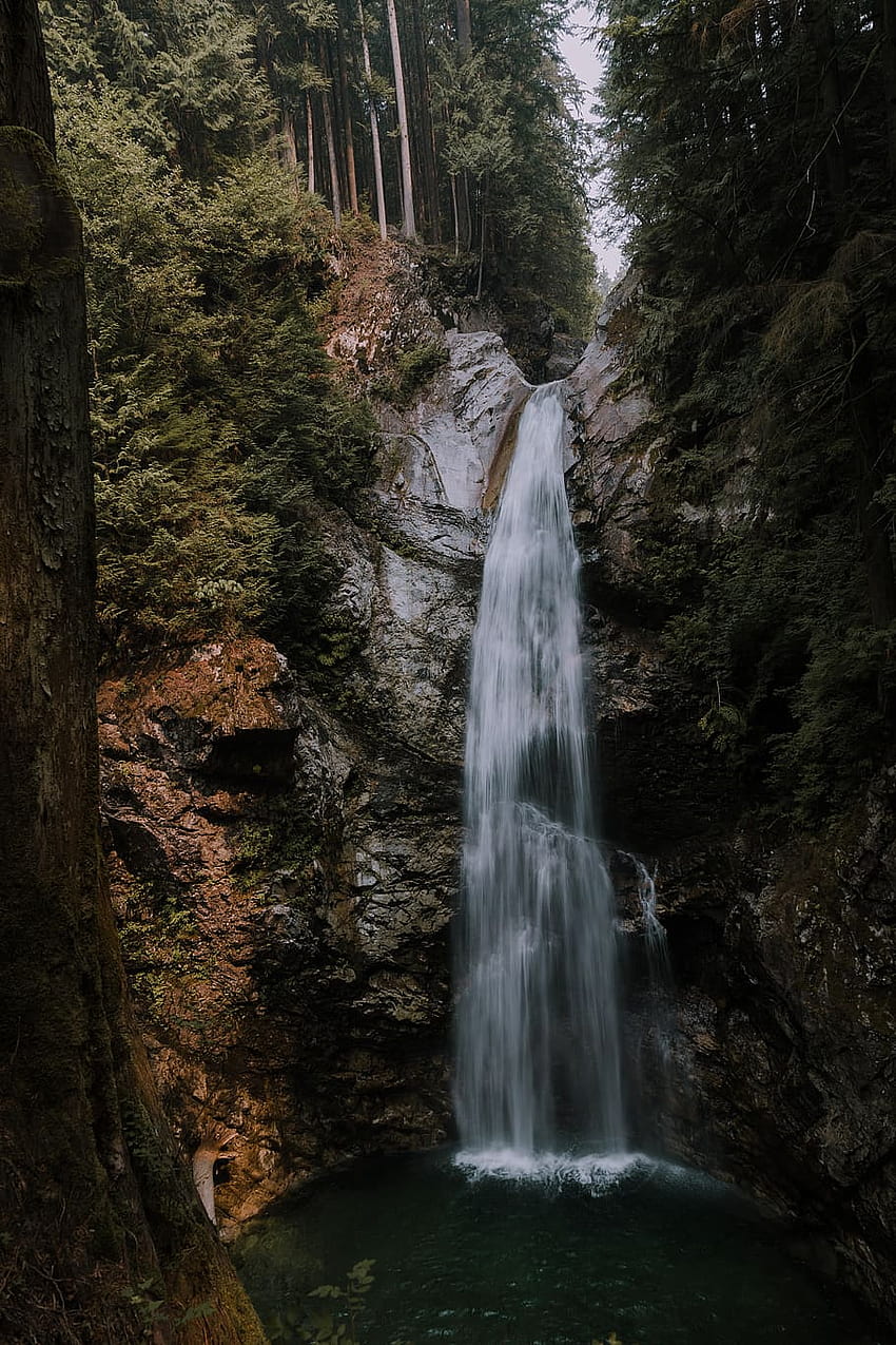 canada, cascade falls trail, vertical, , mist mountain trees river HD phone wallpaper