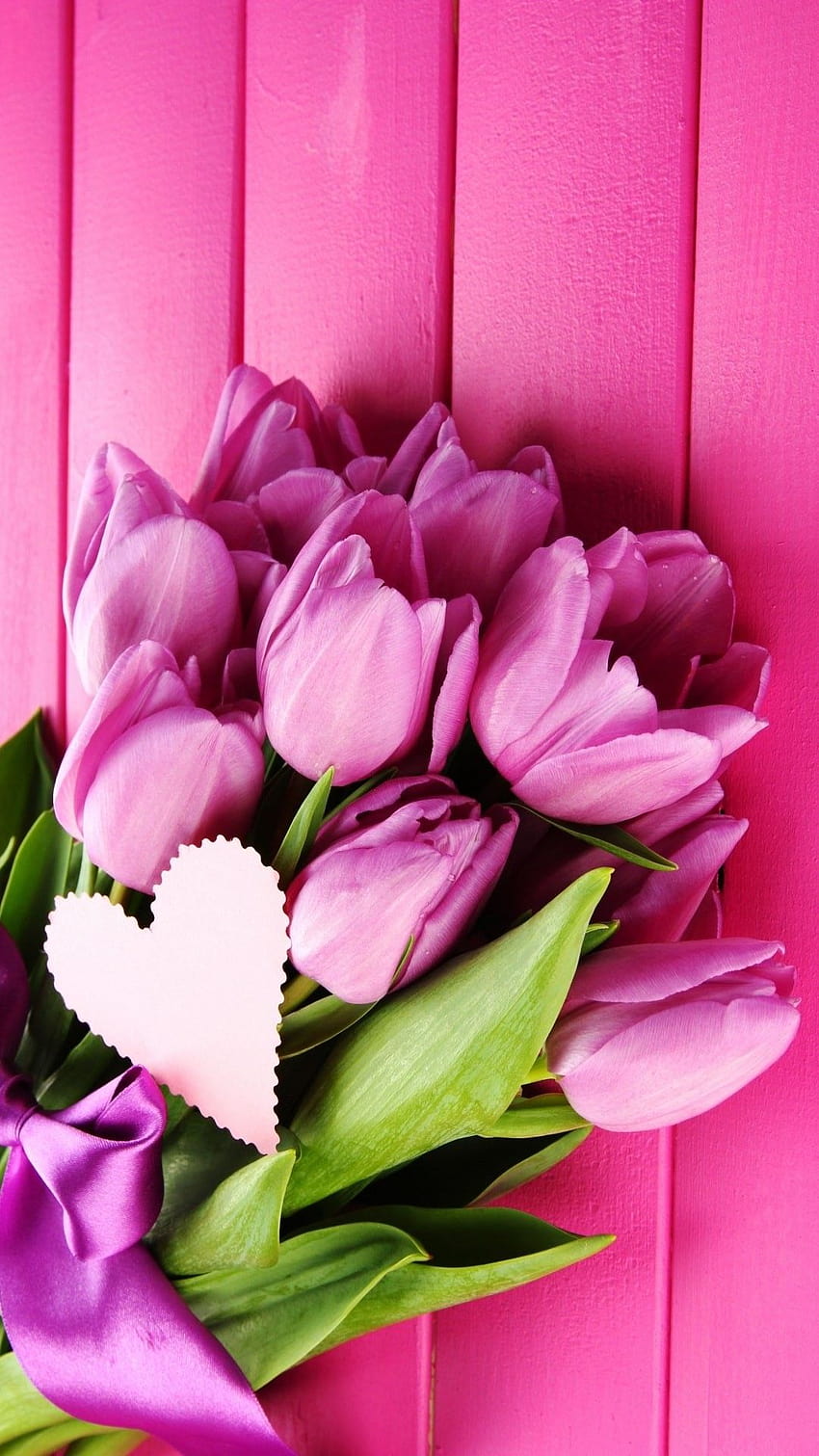 Violet Tulips Bouquet iPhone, tulips magenta HD phone wallpaper