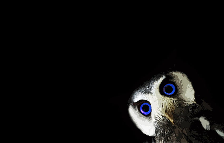black, animals, minimalism, blue eyes, black background, owl , section минимализм, black owl HD wallpaper