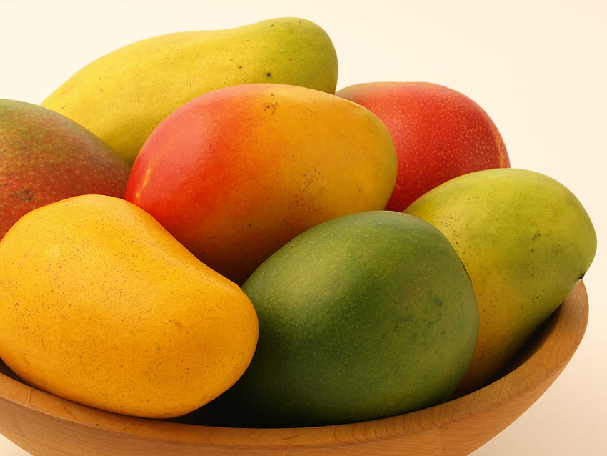 Mango, mango dolce, albero di mango alfanso pieno Sfondo HD