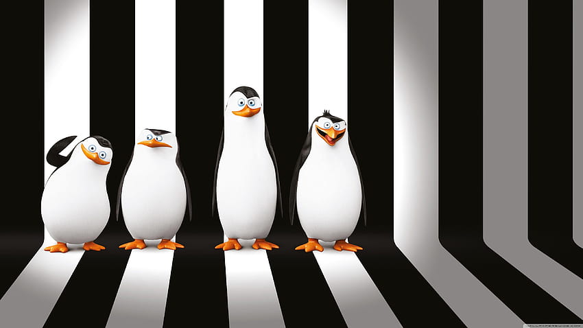 Film Penguins of Madagascar ❤ untuk, penguin animasi Wallpaper HD