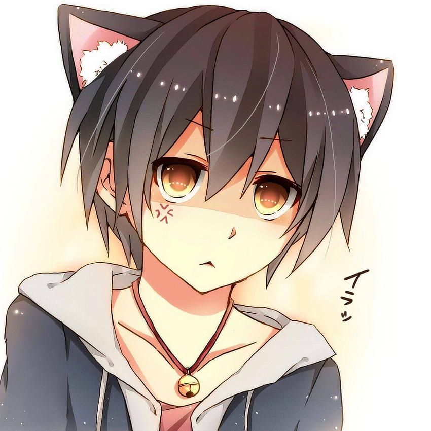 Cute Anime Cat Boy, anime catboy HD phone wallpaper
