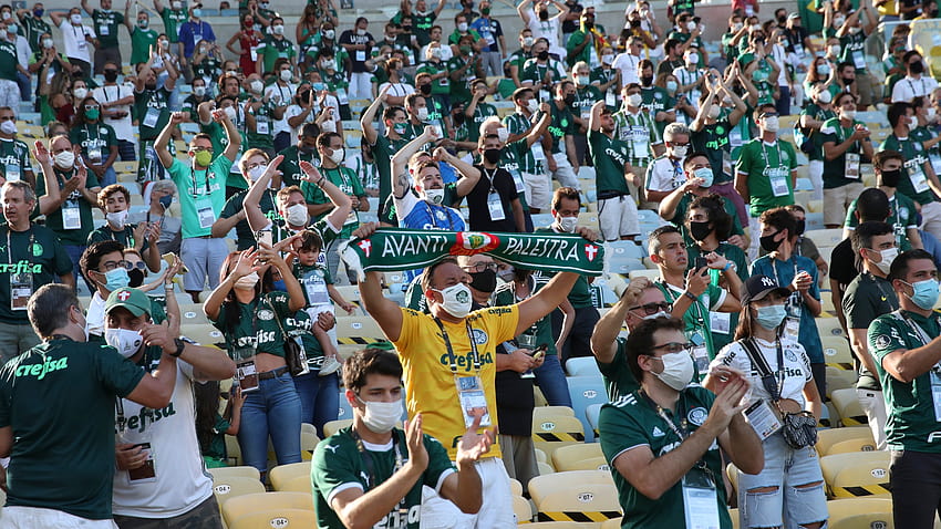 Palmeiras beats Santos to win Copa Libertadores final HD wallpaper