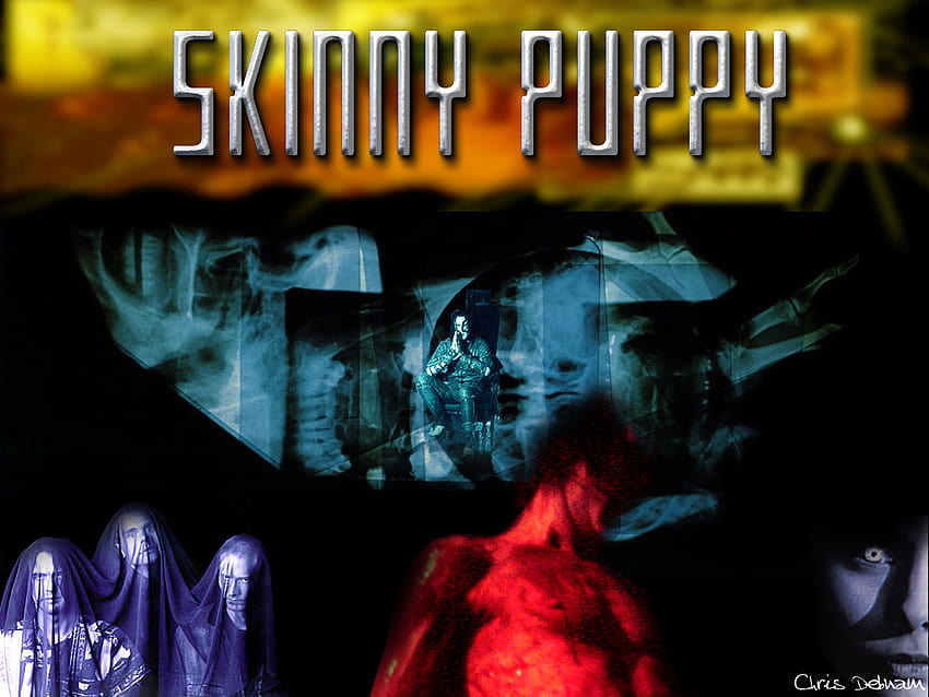 Skinny puppy HD wallpaper Pxfuel