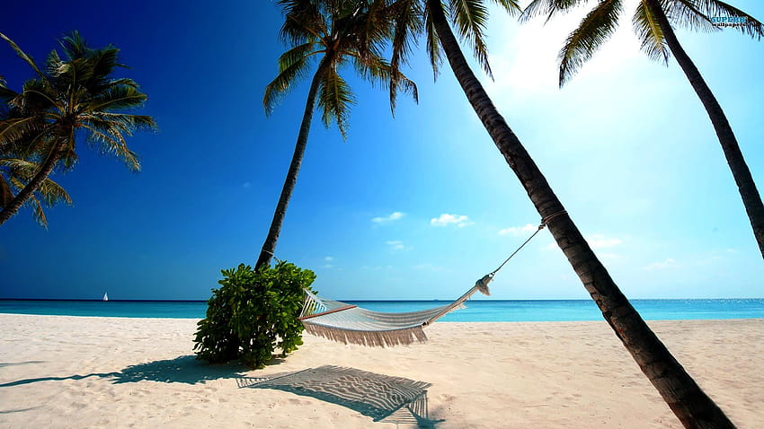 Holiday For And Be Happy Beach von [1920x1080] für Ihr Mobilgerät und Tablet, schöne Sommerferien HD-Hintergrundbild