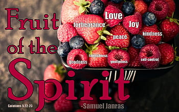 Fruit Of The Spirit Fabric Wallpaper and Home Decor  Spoonflower