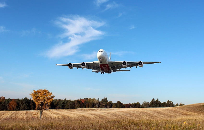 The sky, Field, White, The plane, Trees, Day, A380, Landing, Passenger, Airbus, In The Air, Airliner, Emirates Airline , section авиация, airbus a380 and boeing 747 HD wallpaper