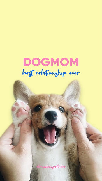 34813 Dog Mom Images Stock Photos  Vectors  Shutterstock