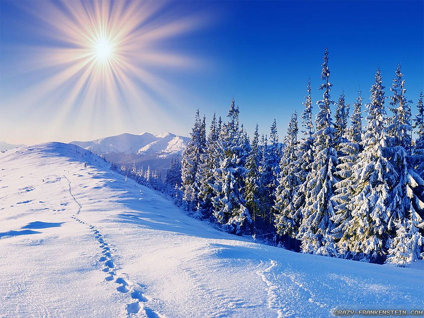 4 Cold Winter, winter destinations HD wallpaper | Pxfuel