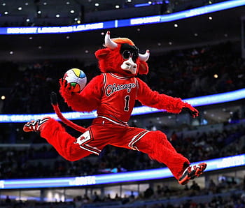 Benny The Bull HD Wallpapers | Pxfuel