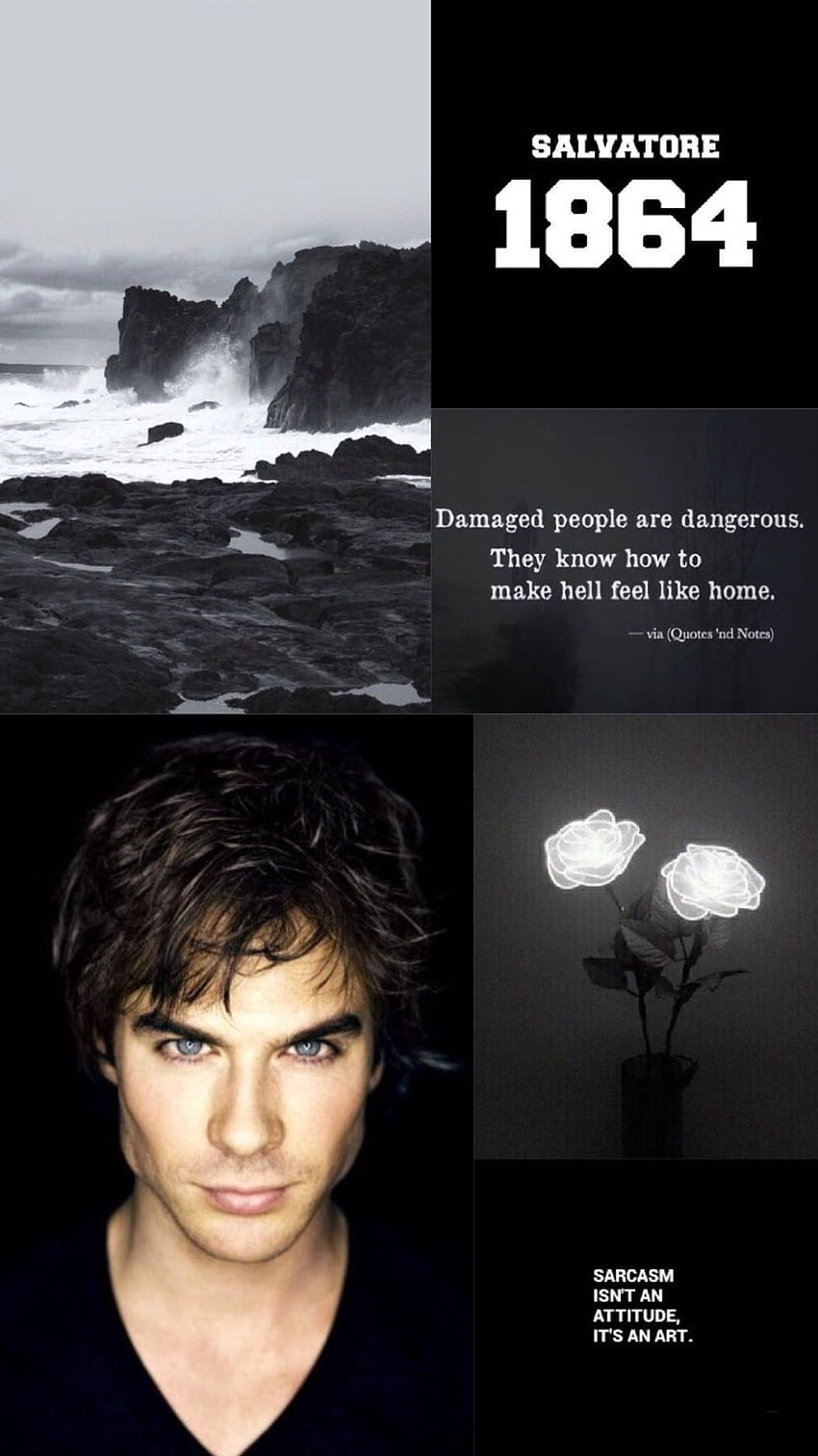 Damon Salvatore Quotes posted by Ryan Walker HD phone wallpaper | Pxfuel