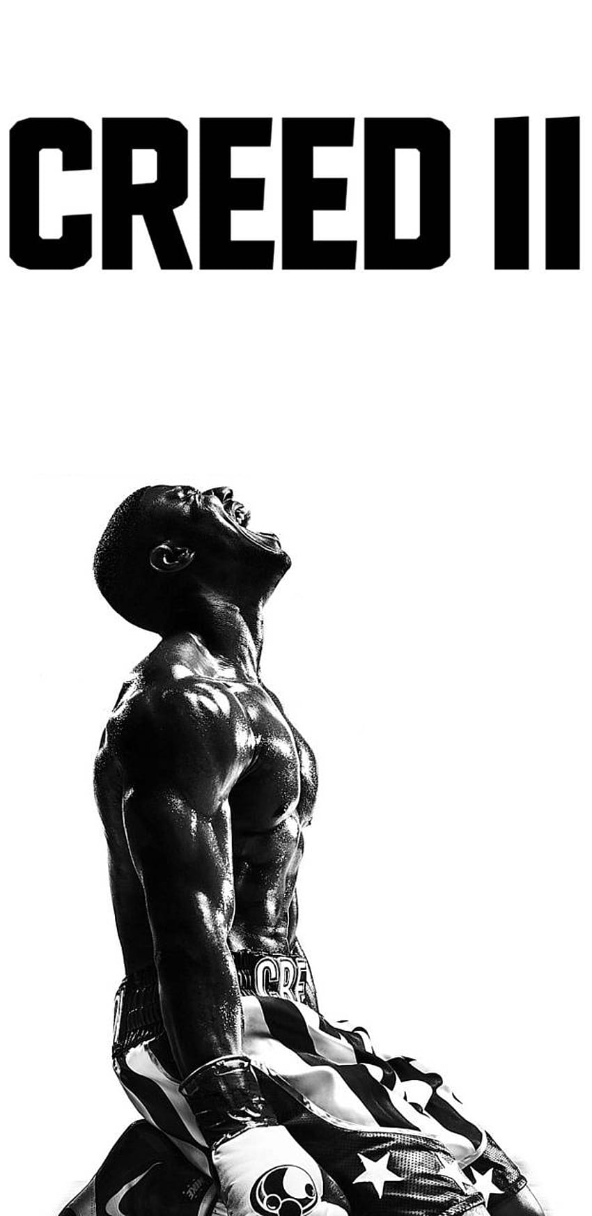 Creed by Triscal, adonis creed HD phone wallpaper