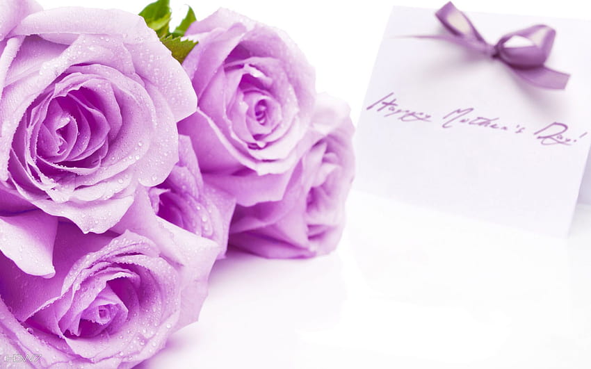 happy mothers day card bow violet purple roses flowers holiday HD wallpaper