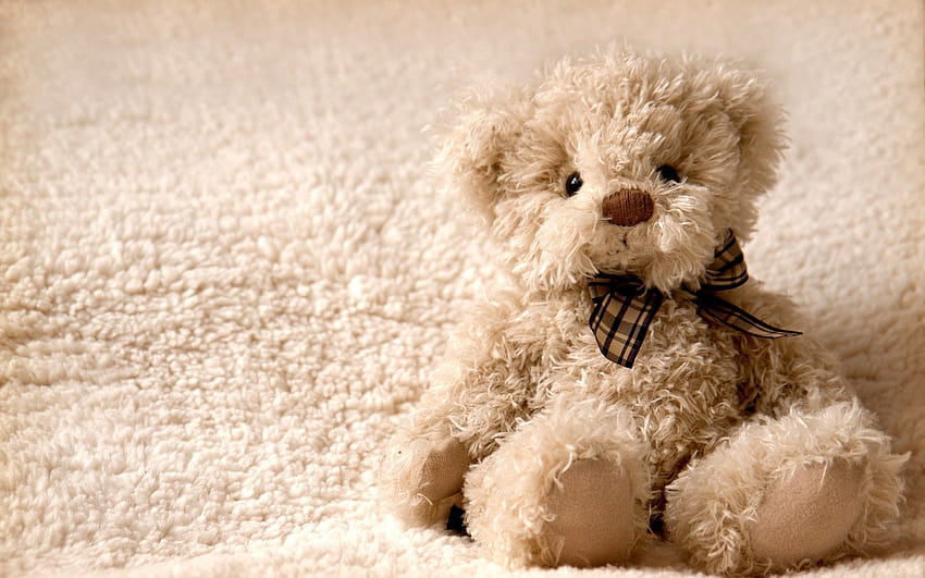 Teddy Bear, cute valentines day bears HD wallpaper