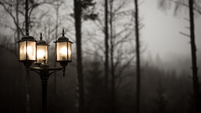 Street Lamp posted by Samantha Anderson HD wallpaper