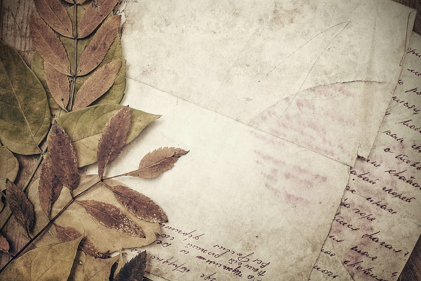 จดหมาย ใบไม้ ข้อความ ต้นไม้ พฤกษศาสตร์ วาด ปลูก กระดาษ การปรับตัว การเขียนด้วยลายมือ ผลิตภัณฑ์กระดาษ หลัง วอลล์เปเปอร์ HD