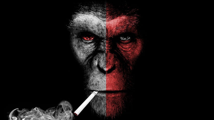 Pin on iPhone 6S Plus Must to Have, monkey smoking HD wallpaper
