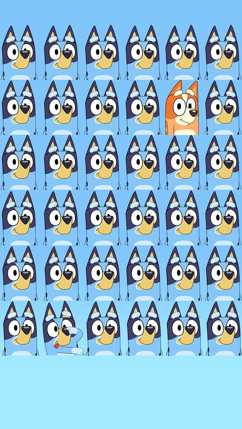 Bluedigitalcat on Twitter:, bingo from bluey HD phone wallpaper | Pxfuel
