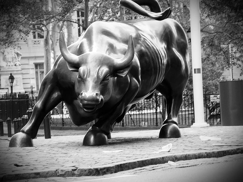 What Is A Bullish Market & How To Recognize It? HD wallpaper
