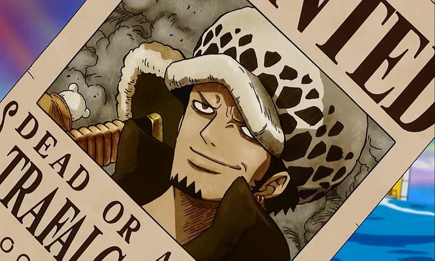 Law the surgeon of deth wanted prime One piece best anime, wanted one piece HD wallpaper