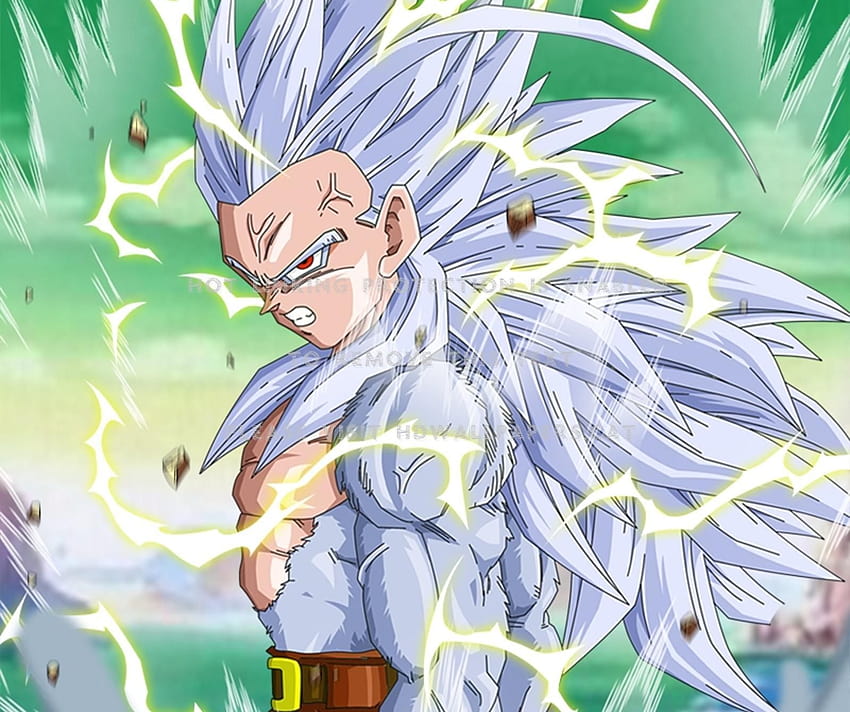 ssj5 vegeta - VEGETA fan Art (25449594) - fanpop