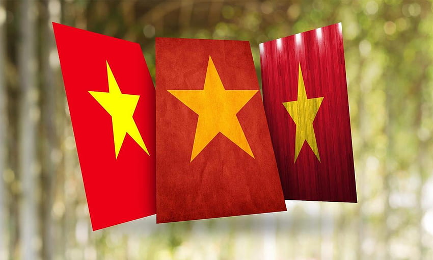 Hãy cùng chiêm ngưỡng hình ảnh hoa cờ đỏ sao vàng của Quốc kỳ Việt Nam, một biểu tượng đại diện cho lòng yêu nước của người Việt Nam. Từng nét vẽ trên cờ đều mang ý nghĩa sâu xa và cảm hứng cho mỗi người dân Việt Nam.
