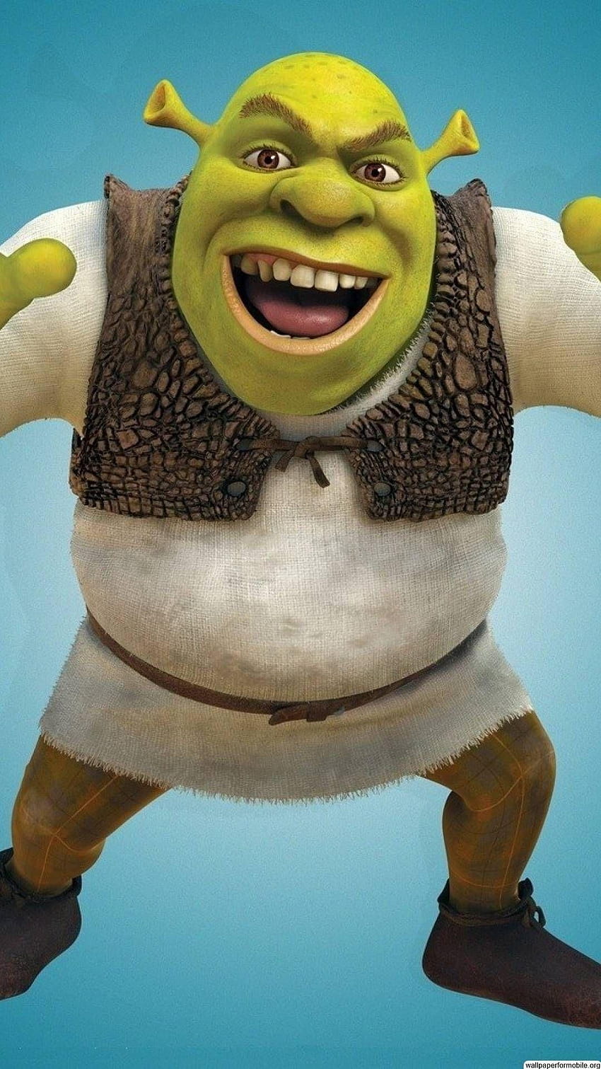 Meme, funny, shrek, HD phone wallpaper