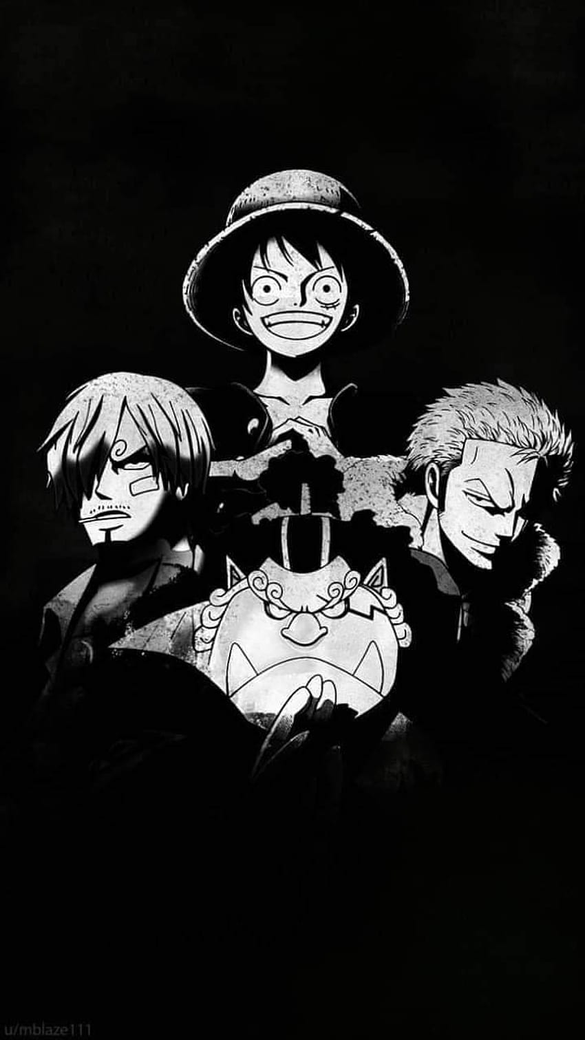 Future Pirate King et le trio de monstres Fond d'écran de téléphone HD