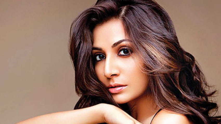 When I came to India, there was no infrastructure for non, monica dogra HD wallpaper