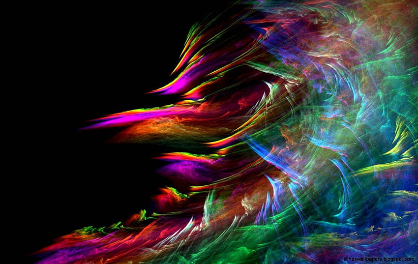 Colorful on Dog, colorful for HD wallpaper | Pxfuel