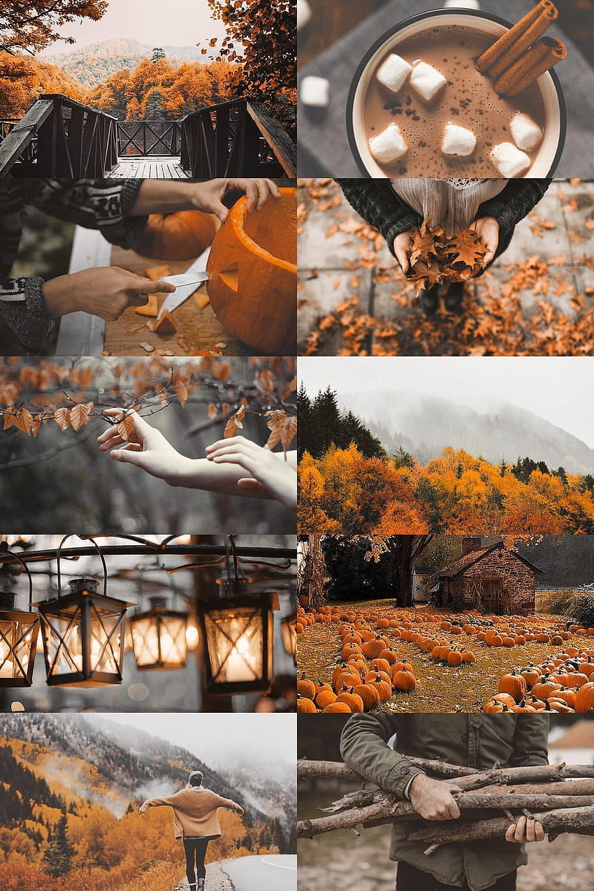Make me choose: spring or autumn by Skogsra, aesthetic autumn collage ...