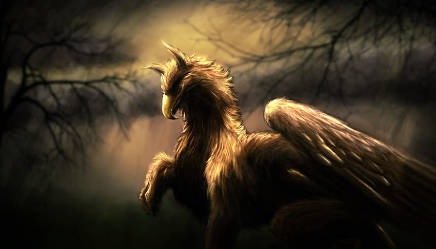 Brown and white gryphon illustration, artwork, fantasy art, owl griffin HD wallpaper