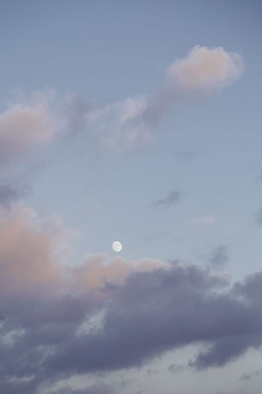 Pastel sky moon & a soft rose  mobile wallpaper [720x1280] : r