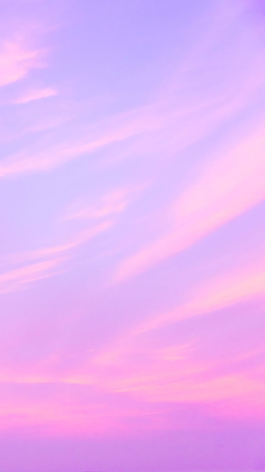 Lavendel Ästhetischer, ästhetischer Lavendel HD-Handy-Hintergrundbild