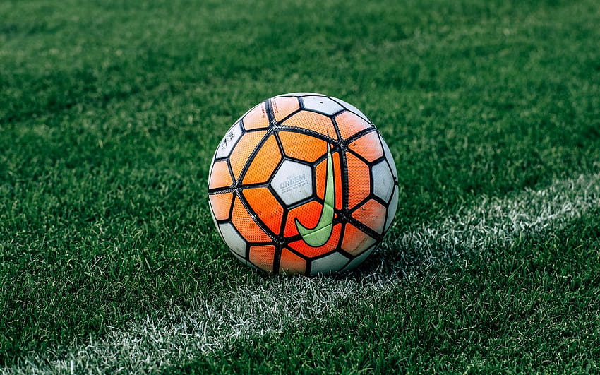1440x900 soccer ball, football, lawn, grass 16:10 backgrounds, soccer green HD wallpaper