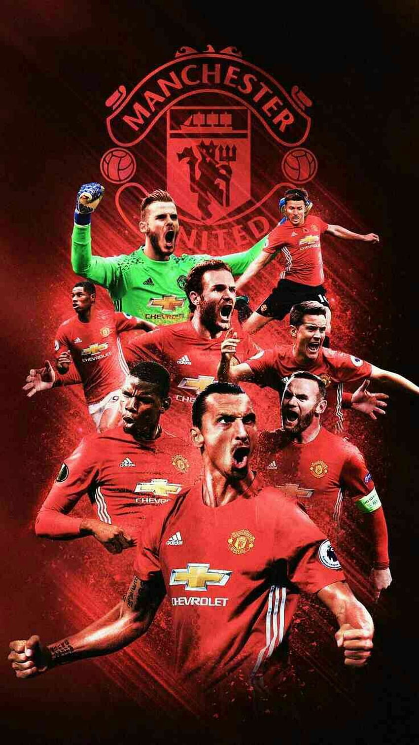 Manchester United Team, man utd team HD phone wallpaper