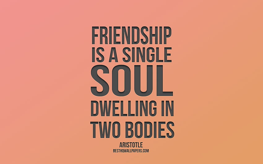 Friendship is a single soul dwelling in two, bff quotes HD wallpaper