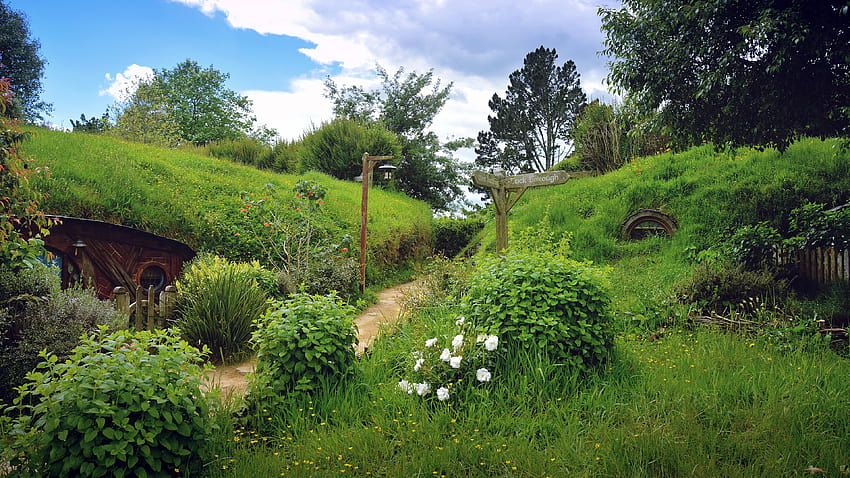 78567 Hobbiton Ultra , Path, Rose, Flower, Bush, The Shire, House, Hill, New Zealand, Greenery HD wallpaper