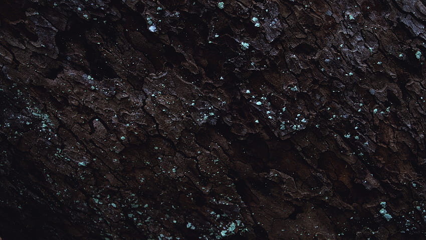 : hitam, malam, air, kulit pohon, luar angkasa, langit, bumi, granit Wallpaper HD
